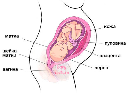 Тридцать третья неделя беременности - описание и симптомы