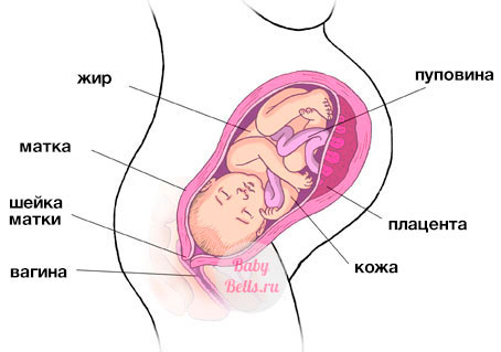 Тридцать девятая неделя беременности - описание и симптомы