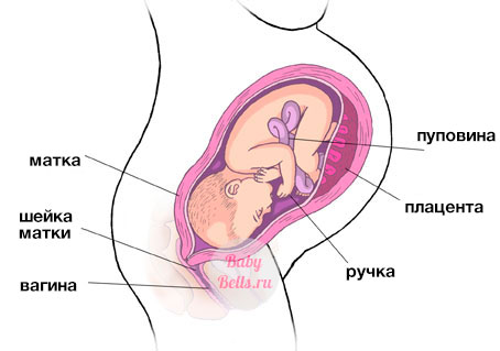 Сороковая неделя беременности - описание и симптомы